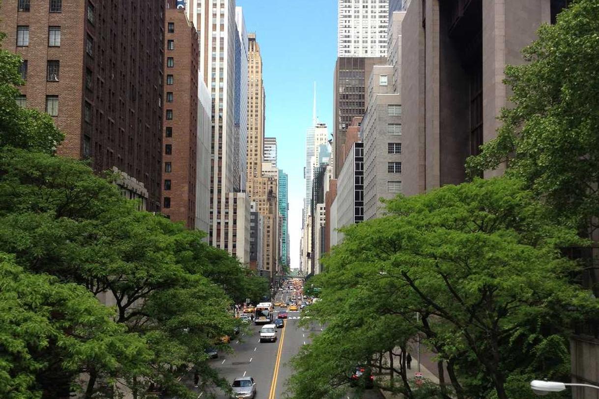 Rerum quia recusandae molestias dolore illum